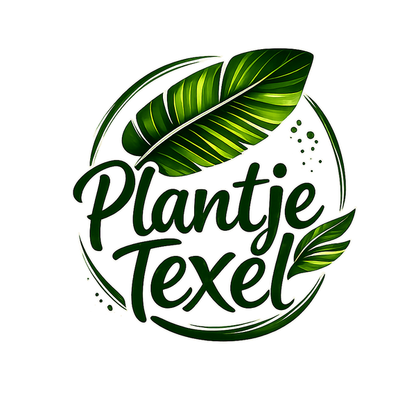 Plantje Texel